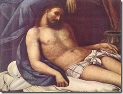Sebastiano del Piombo16