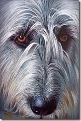 irish-wolfhound-yelena-kolotusha