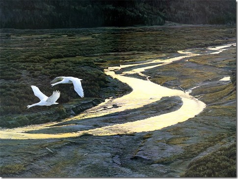 Above the River – Trumpeter Swans, 1981