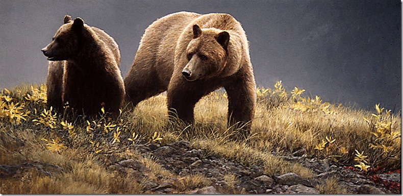 Alaska Light – Grizzly Bears