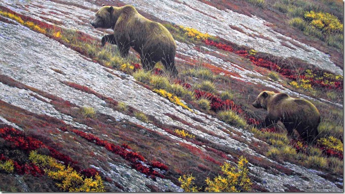 Alaskan Autumn, 1999
