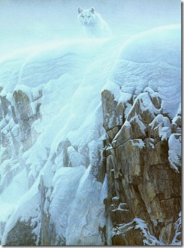 Arctic Cliff - White Wolves (detail)